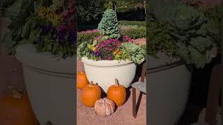 Fall at Cantigny [upl. by Sheley842]