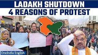 Ladakh shuts down as thousands storm streets in freezing cold for ‘statehood’ demand [upl. by Terza]