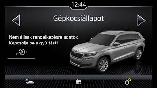 Skoda Kodiaq infotainment menu [upl. by Nnagem]