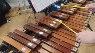 Paparazzi amp I Got A Feelin  National 5 Xylophone Demo Video Larkhall Academy [upl. by Pussej]