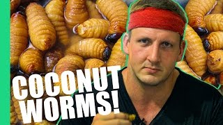 HOW TO EAT COCONUT WORMS Inspirational [upl. by Kissner]