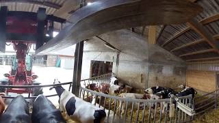 Bullenstall mit automatischer Futtervorlage auf Haus Düsse 360° Video 4K [upl. by Yeleek60]