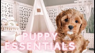 PUPPY ESSENTIALS YOU NEED  everything I bought for my CAVAPOO puppy cavapootheo [upl. by Aylsworth]