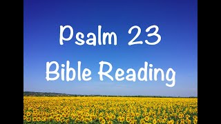 Psalm 23  NIV Version Bible Reading with ScriptureWords [upl. by Tnayrb]