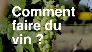 Comment on fait du vin [upl. by Hull]