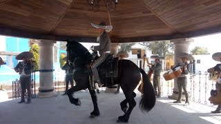 El Internacional Mariachi San Juan  Una Polka y La Alegría De Mi Caballo Vídeo Oficial [upl. by Anayra462]