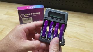 Lets Check Out These Deleepow Lithium Batteries And Charger [upl. by Gilmour769]