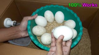 Easy Incubator For Hatching Duck Eggs  Homemade Duck Incubator [upl. by Ludeman]