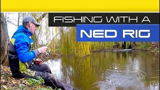 Fishing With A Ned Rig On The River [upl. by Doyle]