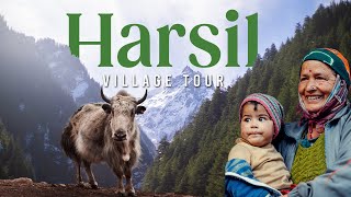 Harsil का नाम कैसे पड़ा हर्षिल Village tour [upl. by Amyaj]