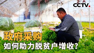 政府采购，如何助力脱贫户增收？ CCTV「新闻11」20221206 [upl. by Lou]