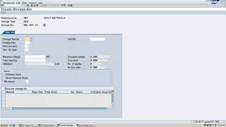 How to creat a New Storage Bin in SAP WMS [upl. by Ann-Marie]