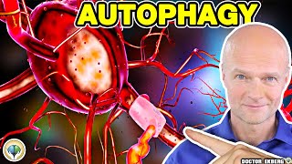 What Is Autophagy 8 Amazing Benefits Of Fasting That Will Save Your Life [upl. by Wearing528]