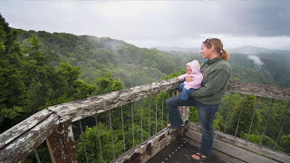 Highway 1 Australias greatest road trip Gondwana rainforests of NSW [upl. by Koerner]