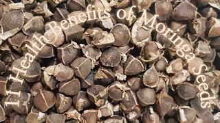 11 Health Benefits of Moringa Seeds [upl. by Novaelc]