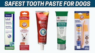 Best Tooth Paste for Dogs 🐕 Vet Recommended Dog Toothpaste [upl. by Alrad]