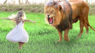 Girl Reunites With Pet Lion After 7 YEARS… [upl. by Jammin]