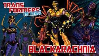 TRANSFORMERS THE BASICS on BLACKARACHNIA [upl. by Brigham]