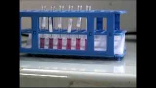 Production of lateral flow test in a basic equipped lab [upl. by Annayd444]