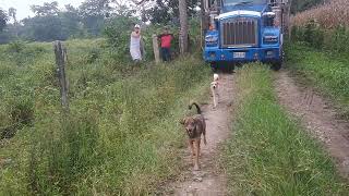 carreteras colombianas trochas [upl. by Anom]