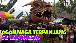 NAGA TERPANJANG SEINDONESIA  Karnaval Purwosari 2019 [upl. by Oidivo]