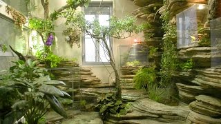 Make Oriental Atmosphere With Indoor Japanese Garden [upl. by Rahas]