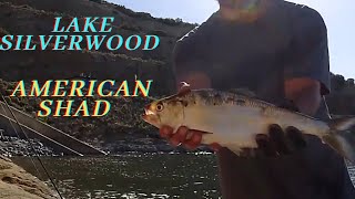 Lake Silverwood Bank Fishing [upl. by Bywoods]