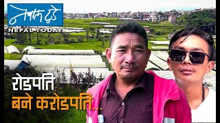 रोडपति बने करोडपति  The Nepal today  Agriculture in Nepal [upl. by Zantos]