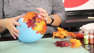 The Science of Fall  Compilation  SciShow Kids [upl. by Gnel]