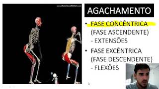 CINESIOLOGIA E BIOMECÂNICA  FASES DO AGACHAMENTO AÇÕES MUSCULARES CONCÊNTRICAS E EXCÊNTRICAS [upl. by Thormora]