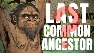 Walking With Our Last Common Ancestor  MATTHEW ONEILL [upl. by Teillo]