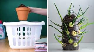 14 Clever Plant Hacks That Will Really Grow on You Blossom [upl. by Sorips]