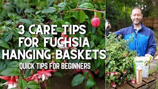 🌿 3 Fuchsia Hanging Basket Care Tips for Beginners shorts 🌿 [upl. by Eytak]