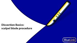 Dissection Basics  Scalpel Blade Procedure [upl. by Dunham]