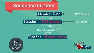 TCP Header TCPIP Explained  All Fields Explained  Computer Networks [upl. by Frederico]