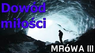 Dowód Miłości  audiobook pl fantastyka  Cykl Mrówa [upl. by Loretta]