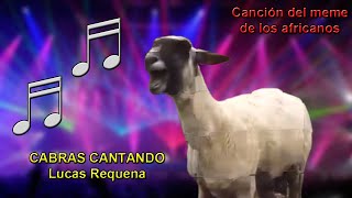 CABRAS CANTANDO  Astronomía meme ataúd africanos [upl. by Eindys]