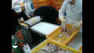 High speed cutting machine Slice loligo squid cuttlefish [upl. by Cralg742]