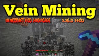 Minecraft 1165  Vein Mining mod [upl. by Illona]