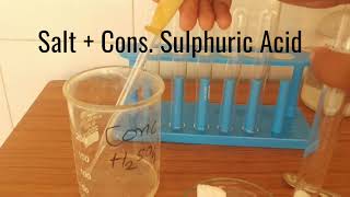 Test for ammonium ion  Test for chloride ion  Nesslers reagent test [upl. by Burny262]