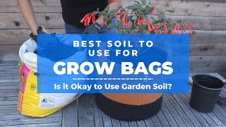 Best Soil for Grow Bags  is it okay to use garden soil [upl. by Orag]