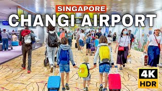 Newly Upgraded Changi Airport T2 Transit Area  Singapore Airport 2023 [upl. by Soren]