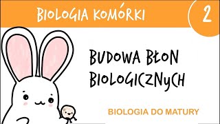 Cytologia 2  Budowa błon biologicznych błony komórkowe  biologia liceum poziom rozszerzony matura [upl. by Ehgit]