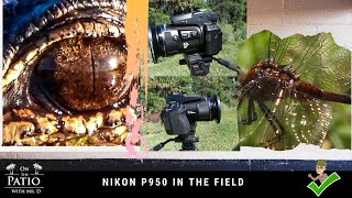 Nikon P950 in the Field [upl. by Joanna347]