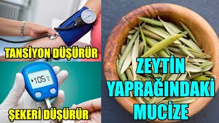 ZEYTİN YAPRAĞI MUCİZESİ [upl. by Ednalrym]