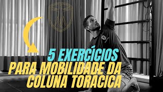 5 Exercícios para Mobilidade da Coluna Torácica [upl. by Halvaard]