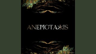 Anemotaxis [upl. by Anitsuj359]