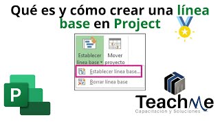 Qué es y cómo crear una línea base en Microsoft Project 🥇 [upl. by Jaylene]