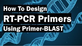 How To Create RealTime PCR Primers Using PrimerBLAST [upl. by Burnaby661]