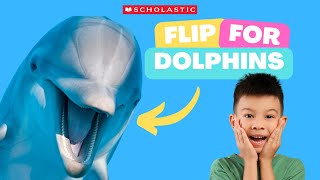 DOLPHIN 🐬 Facts for KIDS  DOLPHINS Ride Waves 🌊 for FUN [upl. by Qulllon511]